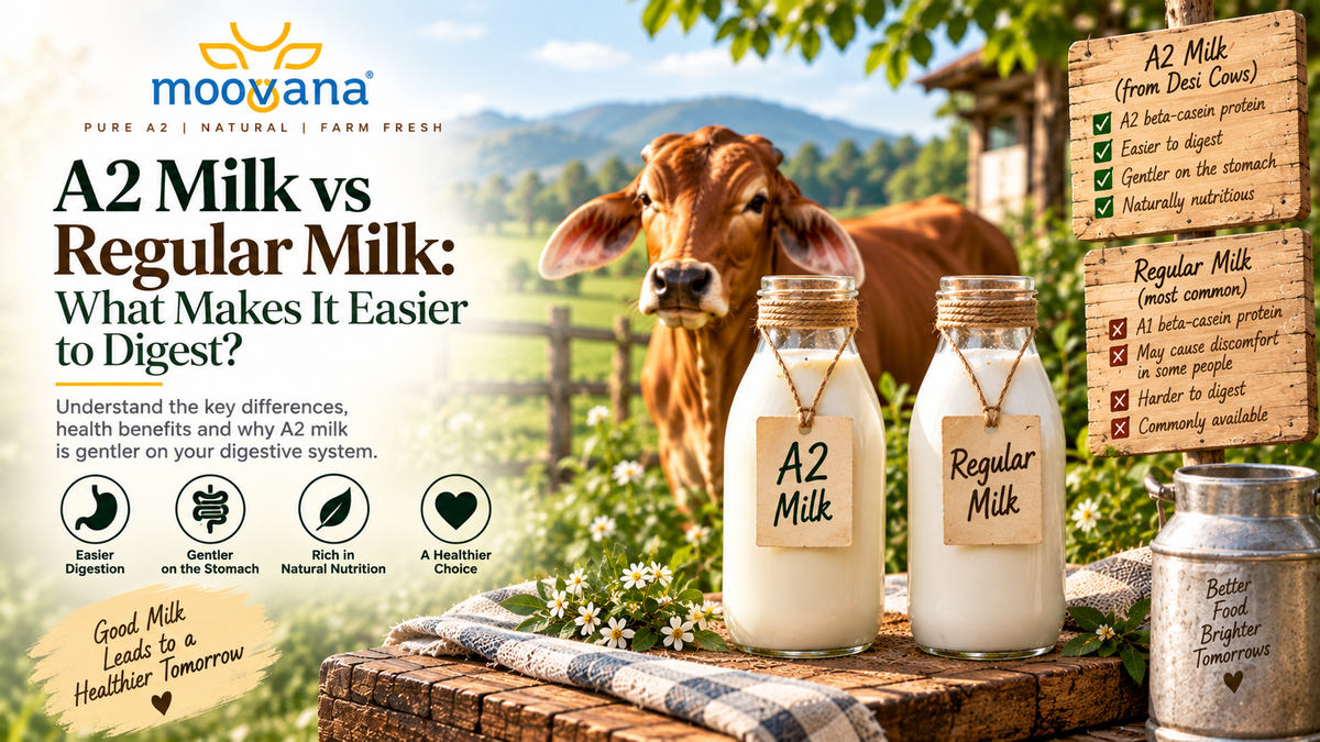 A2 Milk vs Regular Milk: What Makes It Easier to Digest?