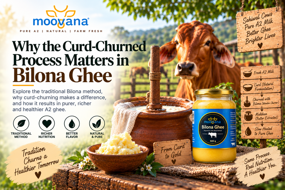 Why the Curd-Churned Process Matters in Bilona Ghee