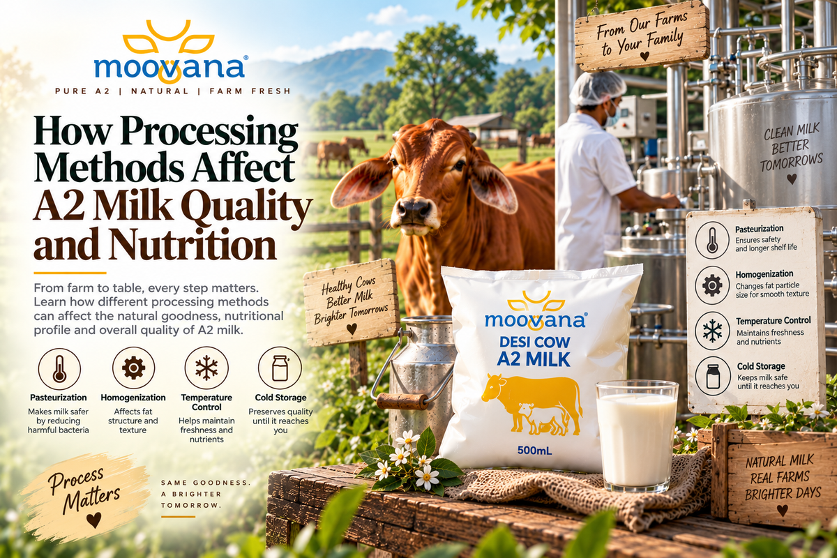 How Processing Methods Affect A2 Milk Quality and Nutrition
