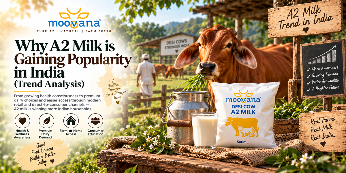 Why A2 Milk Is Gaining Popularity in India (Trend Analysis)