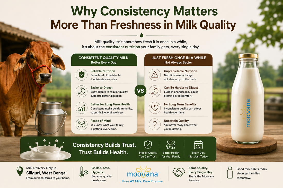 Why Consistency Matters More Than Freshness in Milk Quality