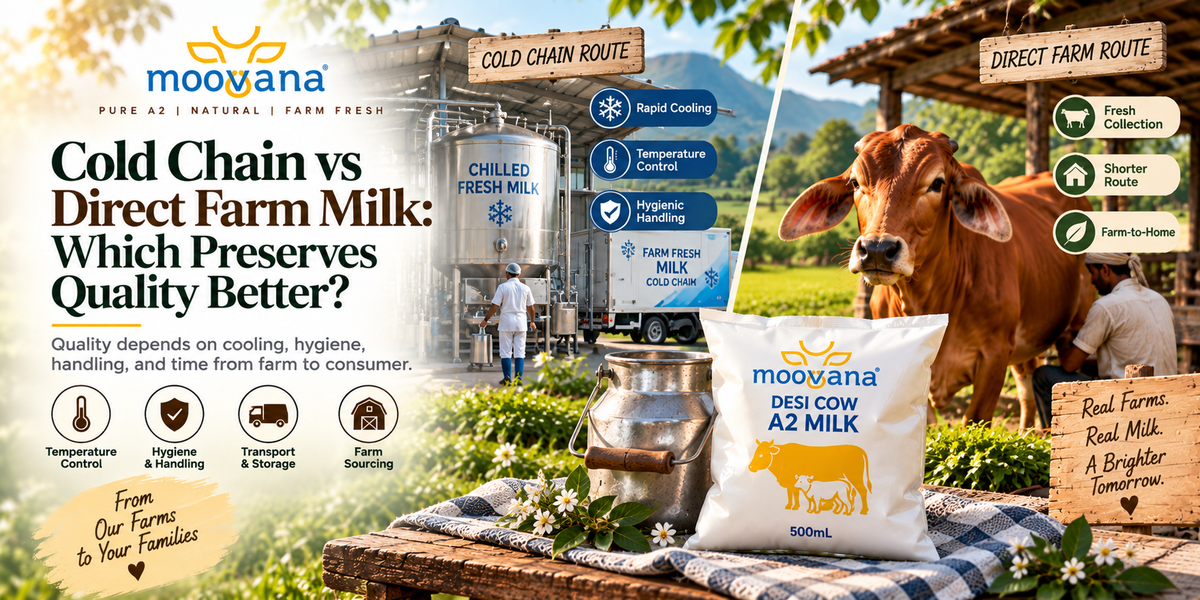 Cold Chain vs Direct Farm Milk: Which Preserves Quality Better?